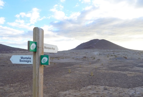 Montaña Roja, der rote Berg von Teneriffa Spinagel
